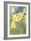 Daffodils-null-Framed Art Print