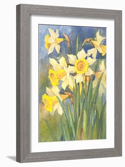 Daffodils-null-Framed Art Print