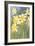 Daffodils-null-Framed Art Print