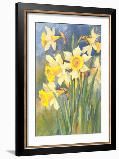 Daffodils-null-Framed Art Print