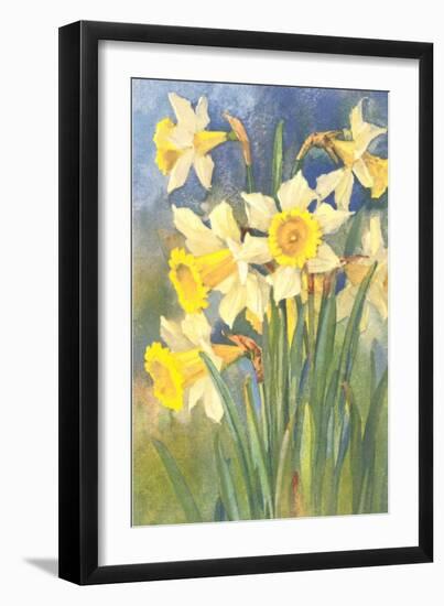 Daffodils-null-Framed Art Print