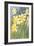 Daffodils-null-Framed Art Print