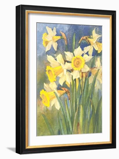 Daffodils-null-Framed Art Print