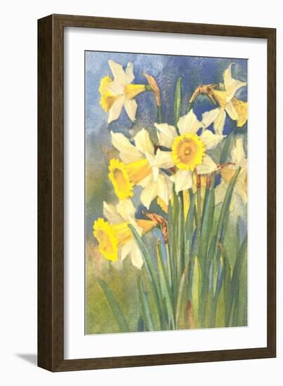 Daffodils-null-Framed Premium Giclee Print