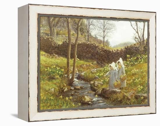 Daffodils-William Gersham Collingwood-Framed Premier Image Canvas