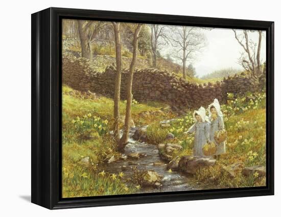 Daffodils-William Gersham Collingwood-Framed Premier Image Canvas