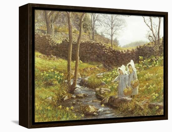 Daffodils-William Gersham Collingwood-Framed Premier Image Canvas