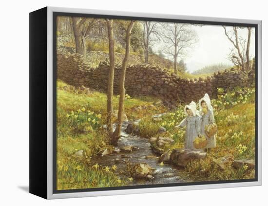 Daffodils-William Gersham Collingwood-Framed Premier Image Canvas