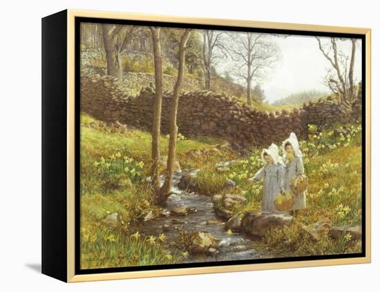 Daffodils-William Gersham Collingwood-Framed Premier Image Canvas