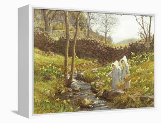 Daffodils-William Gersham Collingwood-Framed Premier Image Canvas