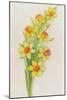 Daffodils-ZPR Int’L-Mounted Giclee Print