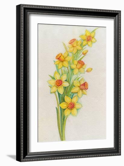 Daffodils-ZPR Int’L-Framed Giclee Print