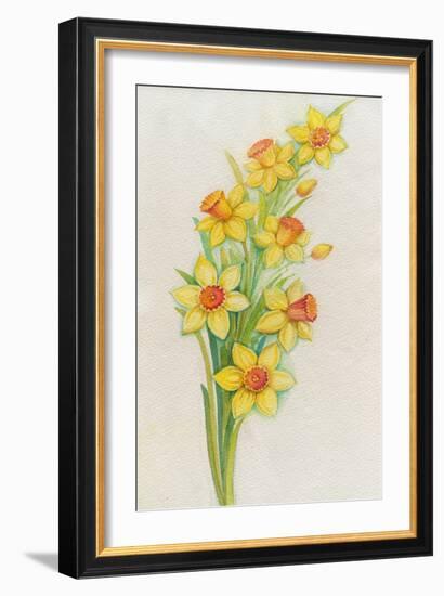 Daffodils-ZPR Int’L-Framed Giclee Print