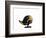 Daffy Punk-Alex Cherry-Framed Premium Giclee Print