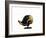 Daffy Punk-Alex Cherry-Framed Art Print