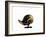 Daffy Punk-Alex Cherry-Framed Art Print