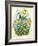 Daffy-Linda Ravenscroft-Framed Giclee Print