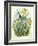 Daffy-Linda Ravenscroft-Framed Giclee Print