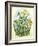 Daffy-Linda Ravenscroft-Framed Giclee Print