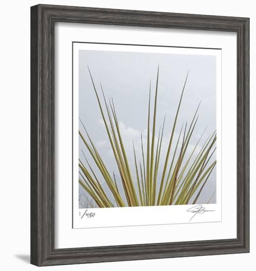 Dagger Yucca-Ken Bremer-Framed Limited Edition