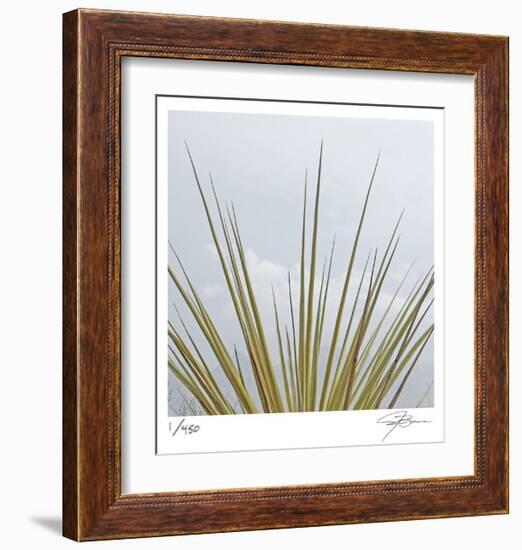 Dagger Yucca-Ken Bremer-Framed Limited Edition