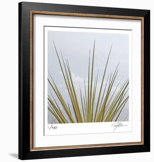 Dagger Yucca-Ken Bremer-Framed Limited Edition