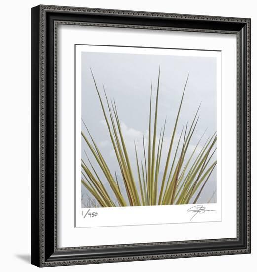 Dagger Yucca-Ken Bremer-Framed Limited Edition