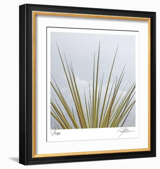 Dagger Yucca-Ken Bremer-Framed Limited Edition