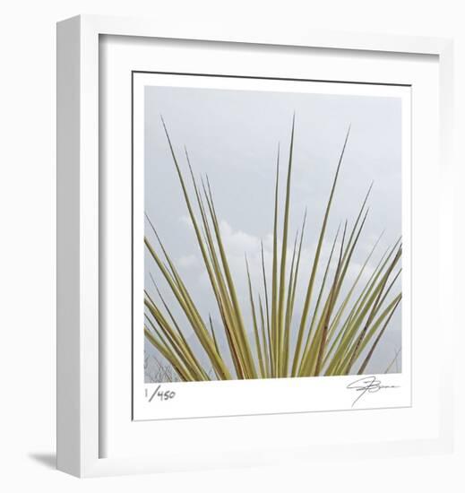 Dagger Yucca-Ken Bremer-Framed Limited Edition