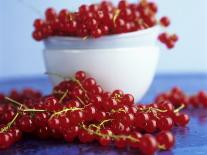 Redcurrants, in and Beside Bowl-Dagmar Morath-Photographic Print