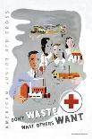 Don't Waste What Others Want: American Junior Red Cross-Dagmar Wilson-Art Print