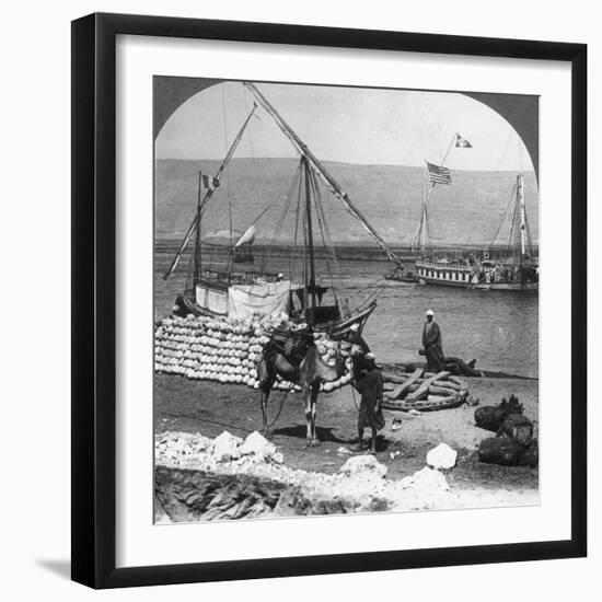 Dahabiyehs on the River Ready for a Nile Voyage, Egypt, 1905-Underwood & Underwood-Framed Photographic Print