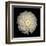 Dahlia 22-Neil Seth Levine-Framed Art Print