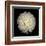 Dahlia 22-Neil Seth Levine-Framed Art Print