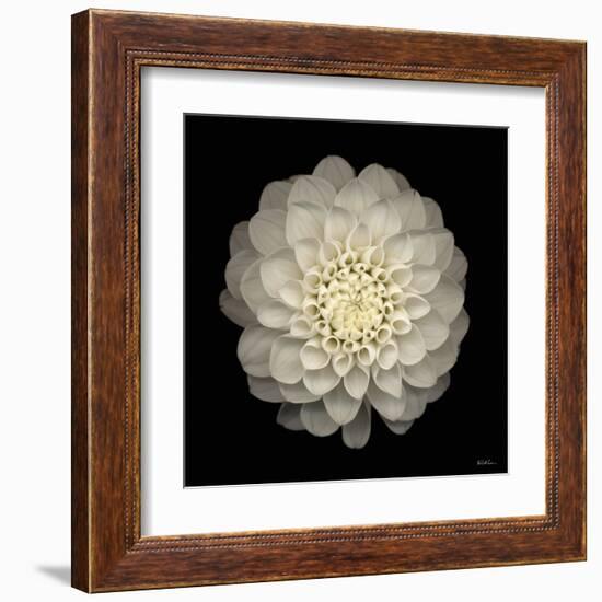 Dahlia 22-Neil Seth Levine-Framed Art Print