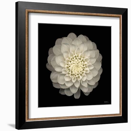 Dahlia 22-Neil Seth Levine-Framed Art Print