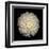 Dahlia 22-Neil Seth Levine-Framed Art Print