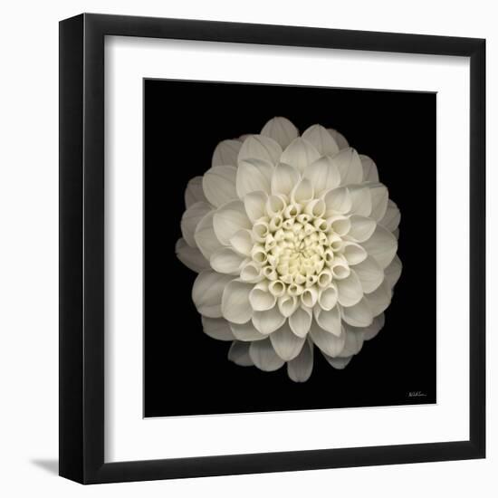 Dahlia 22-Neil Seth Levine-Framed Art Print