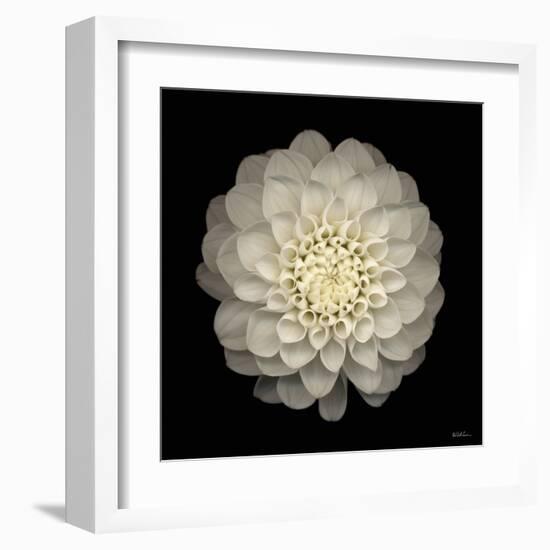 Dahlia 22-Neil Seth Levine-Framed Art Print