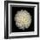 Dahlia 22-Neil Seth Levine-Framed Art Print