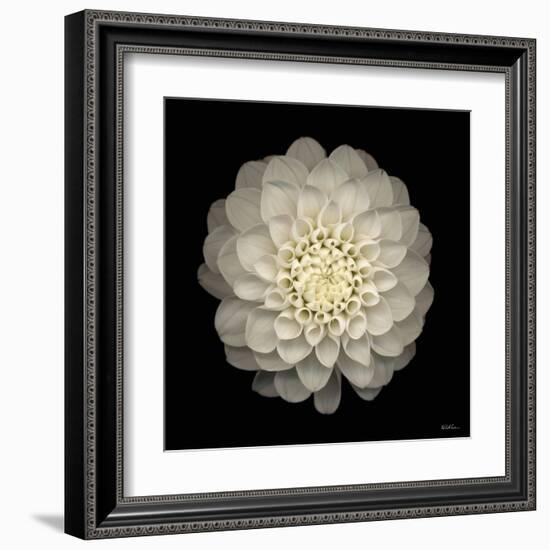 Dahlia 22-Neil Seth Levine-Framed Art Print