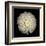 Dahlia 22-Neil Seth Levine-Framed Art Print