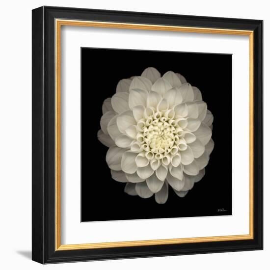 Dahlia 22-Neil Seth Levine-Framed Art Print