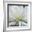 Dahlia Abstract-Anna Miller-Framed Photographic Print