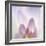 Dahlia Abstract-Anna Miller-Framed Photographic Print