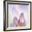 Dahlia Abstract-Anna Miller-Framed Photographic Print