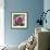 Dahlia Bloom-Pete Kelly-Framed Giclee Print displayed on a wall