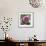 Dahlia Bloom-Pete Kelly-Framed Giclee Print displayed on a wall