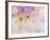 Dahlia Blooming, Oberaegeri, Switzerland-Rolf Nussbaumer-Framed Photographic Print