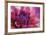 Dahlia Centre Pink Purple-Cora Niele-Framed Giclee Print